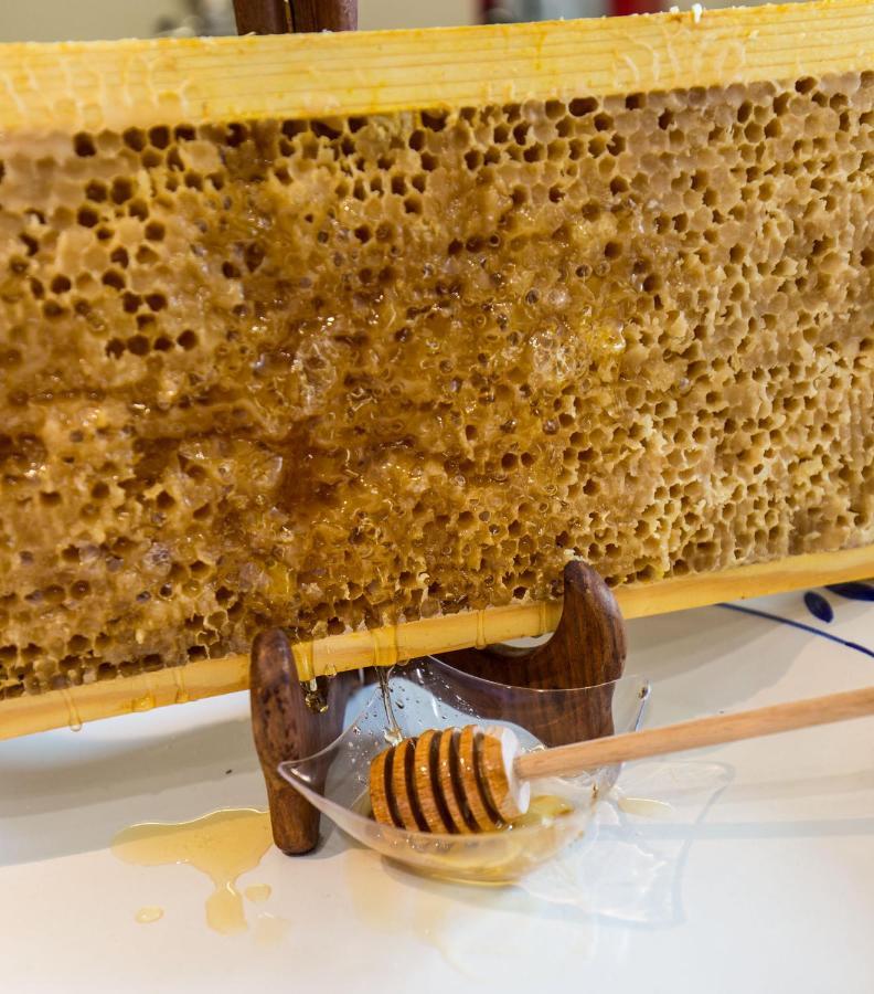 Honey Spa Ripacandida 外观 照片